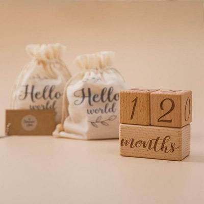 Baby milestone month blocks - Toddler Treasures